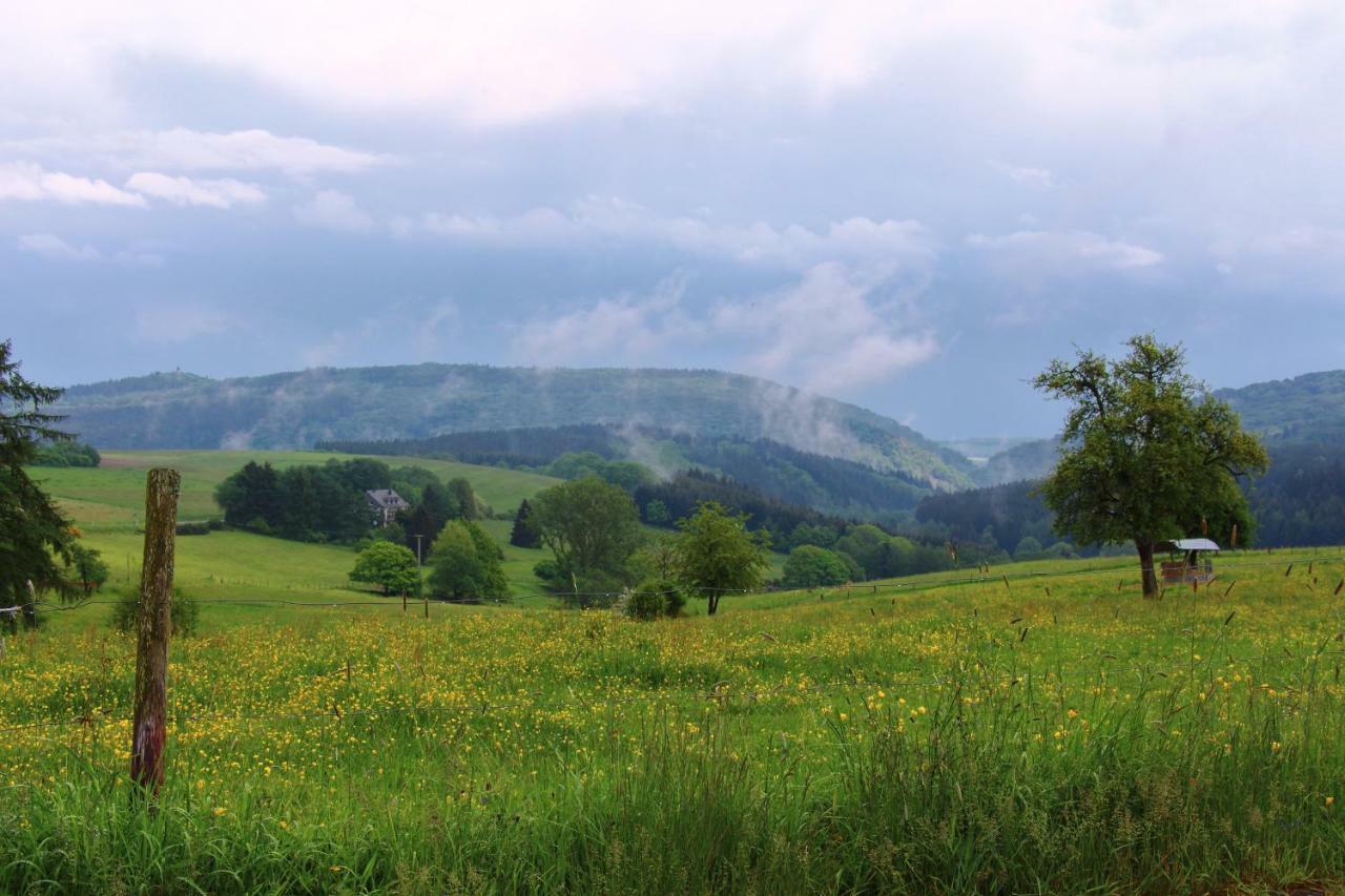 Haus Kolmesfeld Lägenhet Sensweiler Exteriör bild
